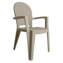 Chair Avala