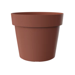 Saksija Melrose fi25