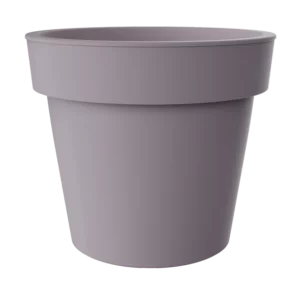 Saksija Melrose sa prstenom fi50