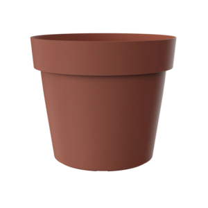 Saksija Melrose fi25